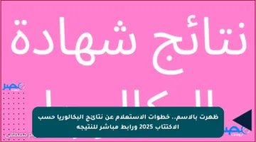 ظهرت بالاسم.. خطوات الاستعلام عن نتائج البكالوريا حسب الاكتتاب 2025 ورابط مباشر للنتيجة